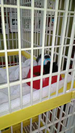 Pet Store «Katie’s PET DEPOT®», reviews and photos, 1941 Foothill Blvd, La Verne, CA 91750, USA