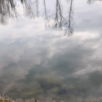 Photo n°1 de l'avis de Marina.a fait le 16/02/2020 à 18:28 sur le  Ristorante bar Al Lago Mangilli à Fontanafredda