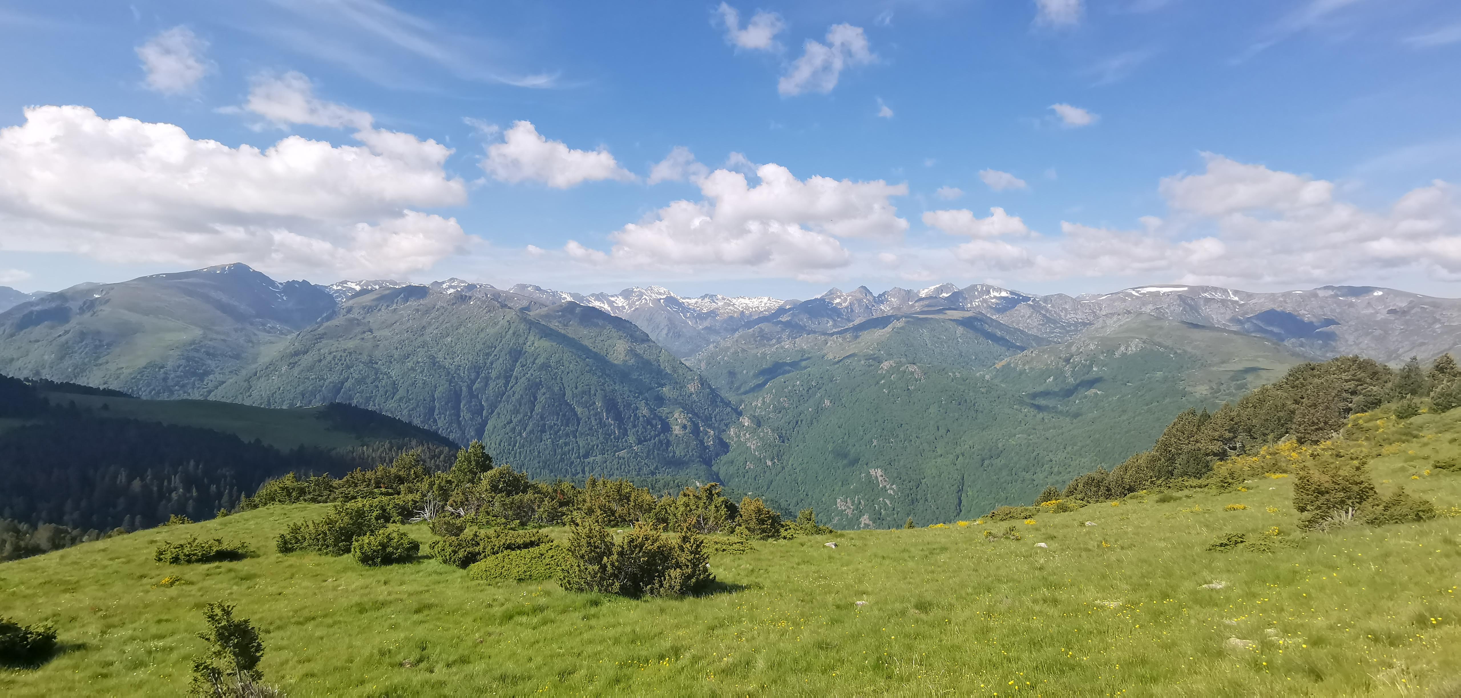 Photo n° 25 de l'avis de Angélique. fait le 03/06/2020 à 18:17