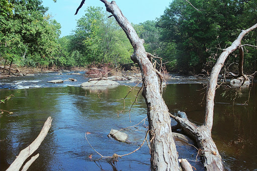 Art Center «Storm King Art Center», reviews and photos, 1 Museum Rd, New Windsor, NY 12553, USA