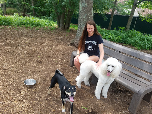 Park «Medway Dog Park», reviews and photos, 298 Village St, Medway, MA 02053, USA