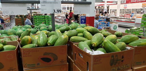Warehouse store «Costco Wholesale», reviews and photos, 14585 Biscayne Blvd, North Miami Beach, FL 33181, USA