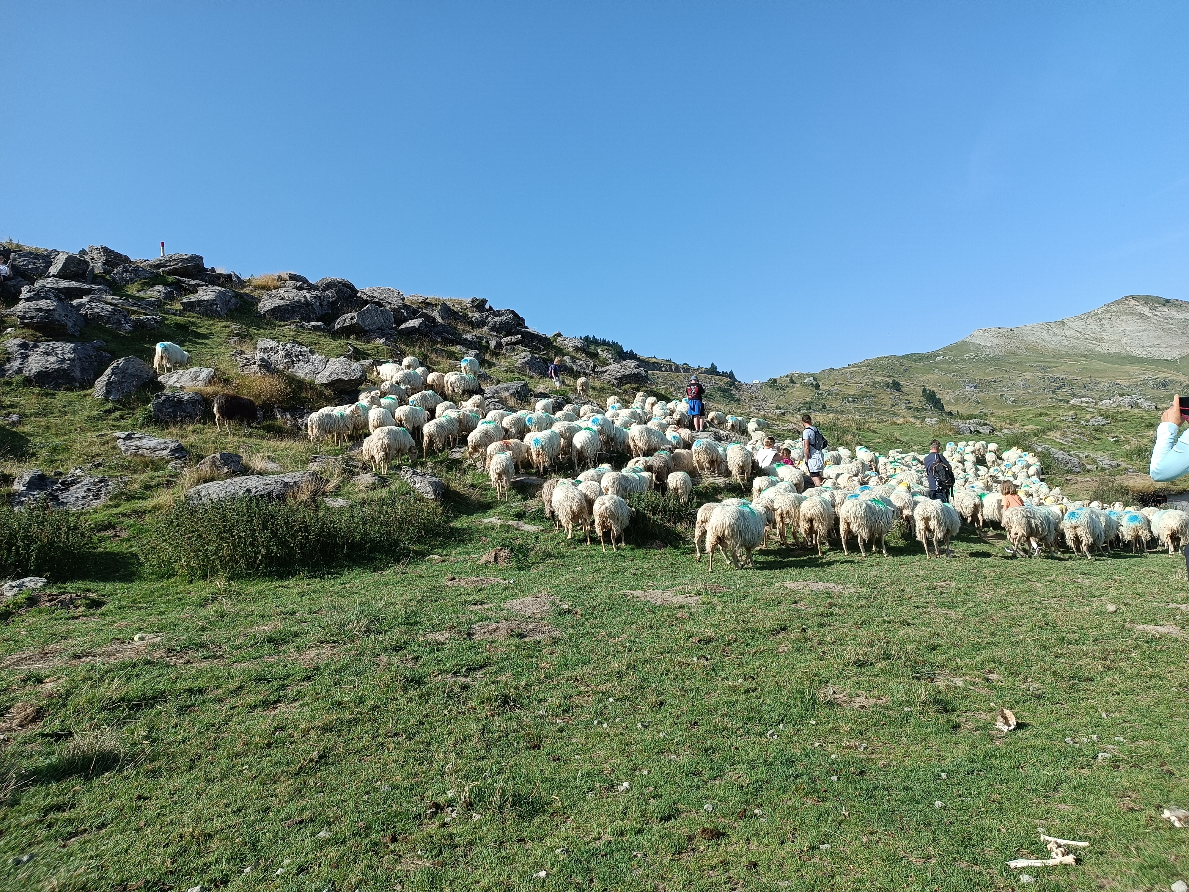 Photo n° 2 de l'avis de Jean-christophe.o fait le 10/08/2023 à 15:14