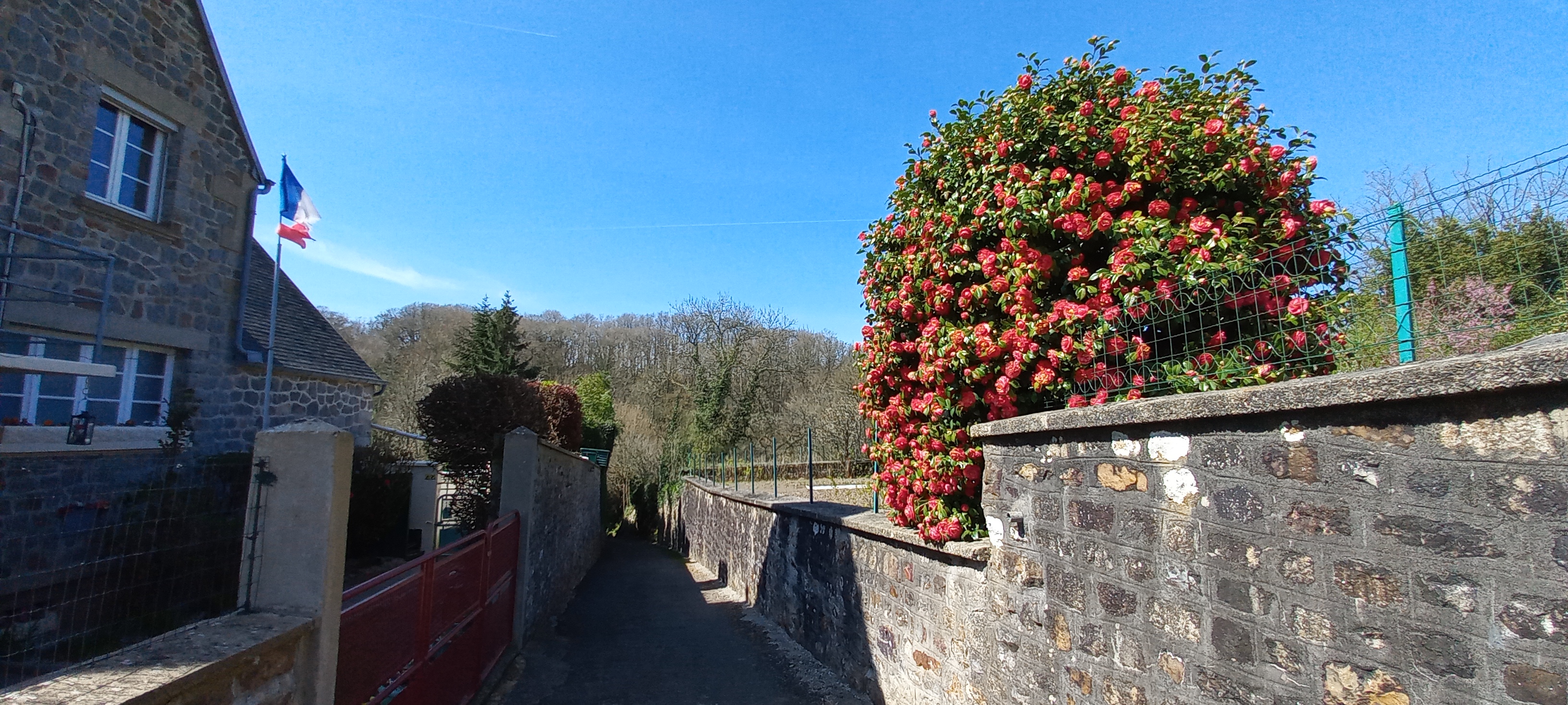 Photo n° 2 de l'avis de Françoise.o fait le 16/04/2023 à 15:18