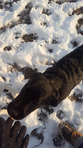 Park «Teegarden Park», reviews and photos, 440 Old State Rd, Berwyn, PA 19312, USA