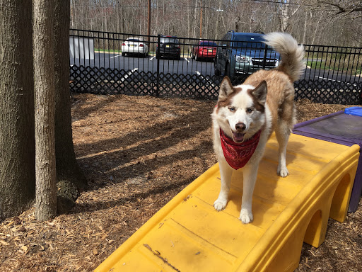 Pet Supply Store «The Hungry Puppy», reviews and photos, 1288 NJ-33, Farmingdale, NJ 07727, USA