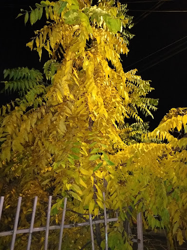 Department Store «Coastal Farm & Ranch», reviews and photos, 1550 Mt Hood Ave, Woodburn, OR 97071, USA