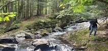 Lower Big Garlic Falls