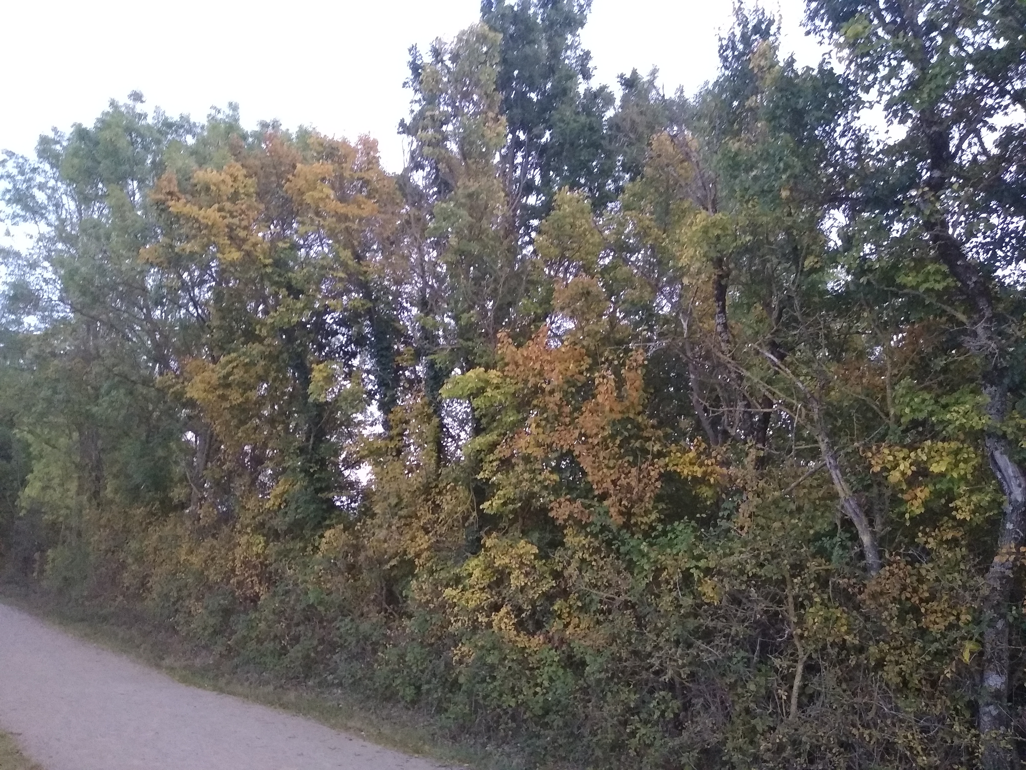 Photo n° 16 de l'avis de Cahrla.l fait le 08/10/2020 à 18:42