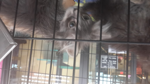 Animal Shelter «One of A Kind Pet Rescue», reviews and photos, 1929 W Market St, Akron, OH 44313, USA