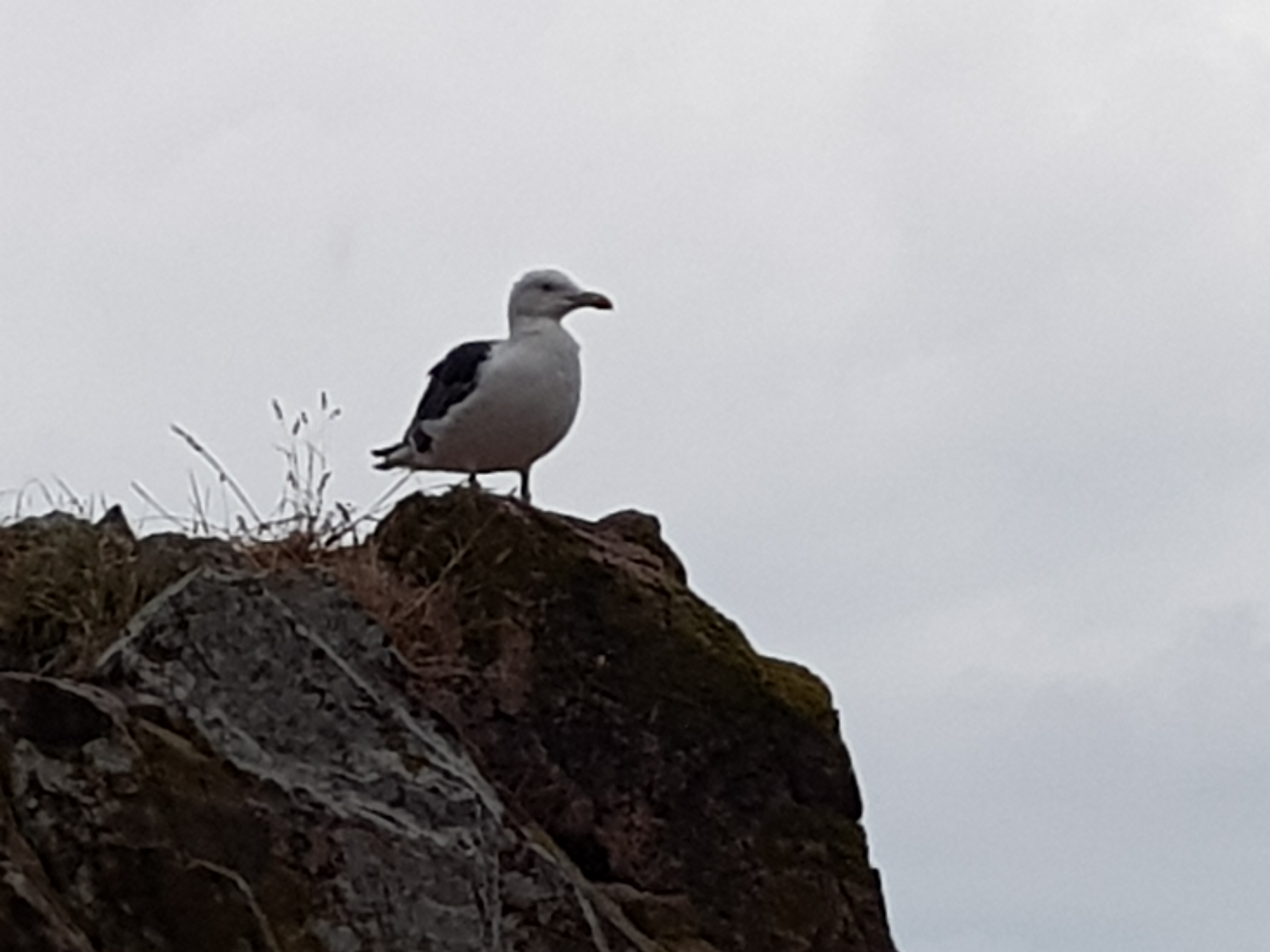 Photo n° 5 de l'avis de romain.a fait le 14/08/2018 à 21:18