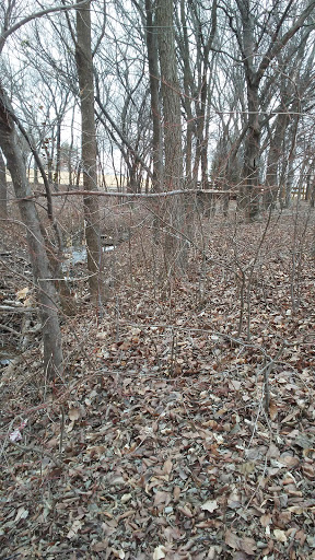 Park «J. C. Grant Neighborhood Park», reviews and photos, 8220 Wade Blvd, Frisco, TX 75034, USA