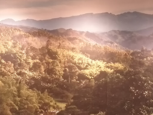 Coffee Shop «Starbucks», reviews and photos, 10344 Main Street, Fairfax, VA 22030, USA