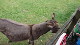 Stepney City Farm