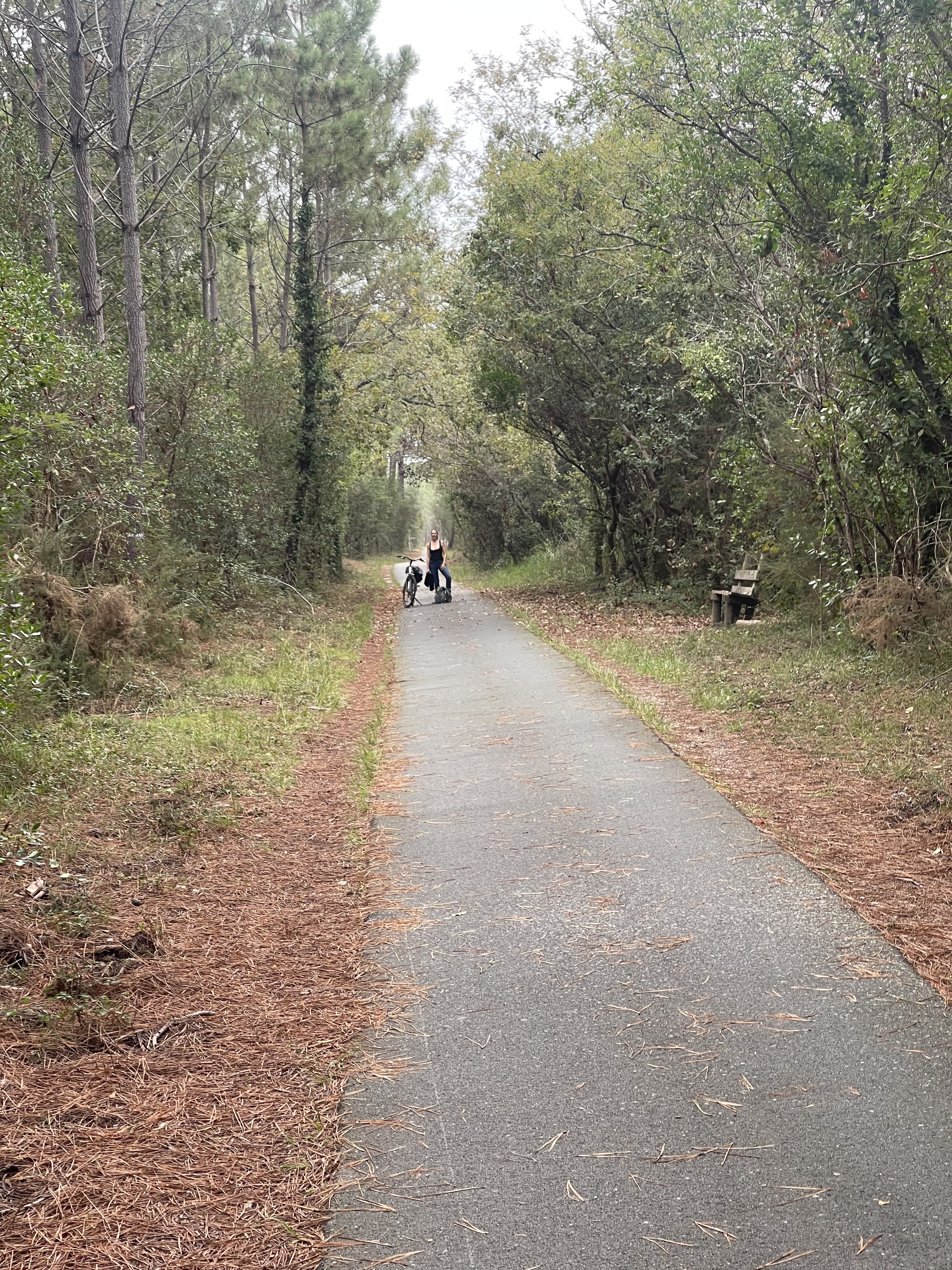 Photo n° 6 de l'avis de Mathieu.i fait le 03/11/2022 à 21:33