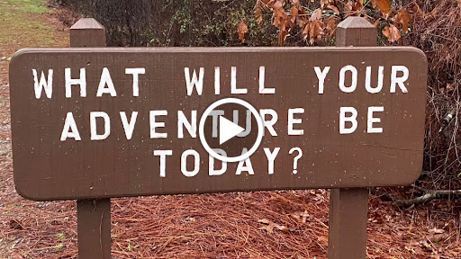 National Park «Congaree National Park», reviews and photos, 100 National Park Rd, Hopkins, SC 29061, USA