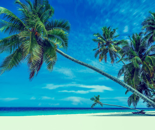 4325 Glenwood Ave #3031, Raleigh, NC 27612, USA