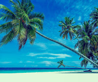 Key Harbor - Locksmith Raleigh - Photo 2 - Car repair in Raleigh, NC, Raleigh