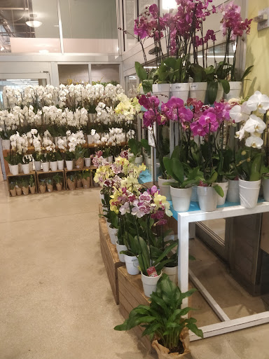 Grocery Store «Whole Foods Market», reviews and photos, 299 SE 3rd Ave, Miami, FL 33131, USA