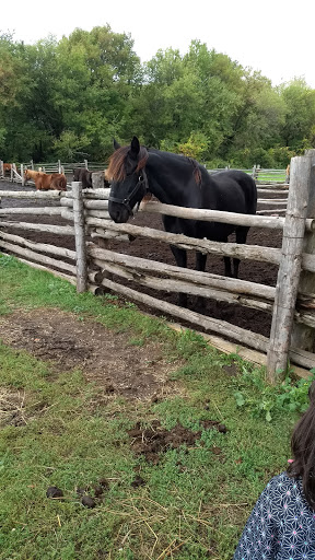 History Museum «OIiver Kelley Farm», reviews and photos, 15788 Kelly Farm Rd NW, Elk River, MN 55330, USA