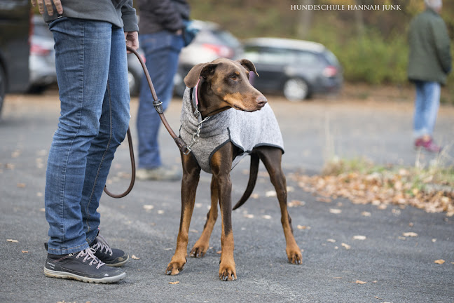 Rezensionen über Hundeschule Hannah Junk in Carouge - Hundeschule