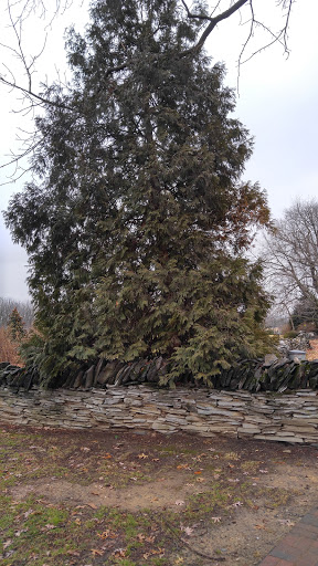 Park «Rose Hill Manor Park», reviews and photos, 1611 N Market St, Frederick, MD 21701, USA