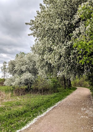 Purgatory Park - photo 15