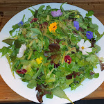 Photo n°4 de l'avis de Jürgen.h fait le 02/09/2023 à 07:59 sur le  Restaurant & Eventalm Himmelreich à Schorndorf