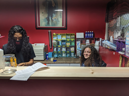 Explore tattoo ideas sagittarius, creative tattoo ideas in Hollywood, available at My Tattoo Shop