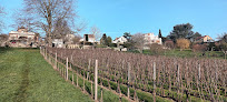 Les vignes de Saint-Fargeau Ponthierry Saint-Fargeau-Ponthierry