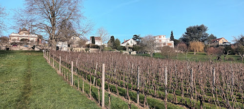 Les vignes de Saint-Fargeau Ponthierry à Saint-Fargeau-Ponthierry