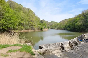 Ayvat Bendi Nature Park image