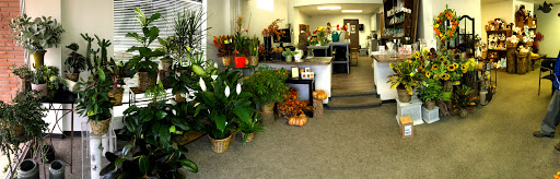 Wedding Store «Susan McKnight Floral Studio», reviews and photos, 217 S Pattie St, Wichita, KS 67211, USA