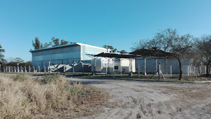 Instituto de Tecnología de la Madera Facultad de Ciencias Forestales