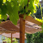 Photo n°7 de l'avis de Valeria.a fait le 10/06/2023 à 15:18 sur le  Il Tipico Calabrese à Cardeto