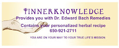 IINNERKNOWLEDGE - Photo 9 - Car repair in Morgan Hill, CA, Gilroy