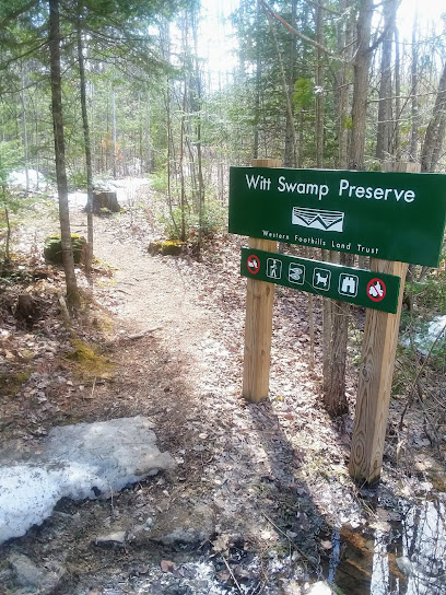 Witt Swamp Preserve