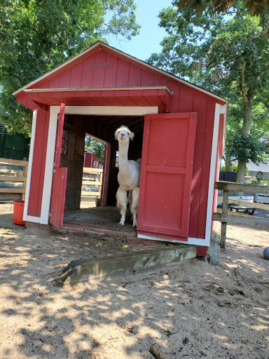 Wildlife Park «Wildlife & Ecology Center», reviews and photos, 249 Buckley Rd, Holtsville, NY 11742, USA