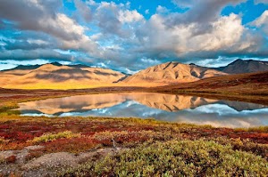 Gates of the Arctic National Park and Preserve - photo 8