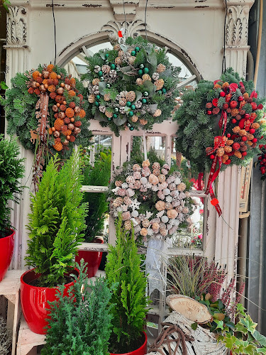 Levendula Virágbolt - Kertészkedő