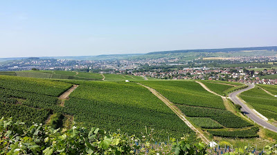 Champagne R. Bourdelois à Dizy