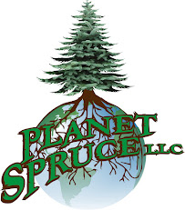 Planet Spruce LLC - Photo 6 - Car repair in Idaho Falls, ID, Idaho Falls