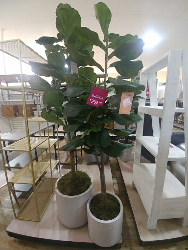 Department Store «HomeGoods», reviews and photos, 4190 Vinewood Ln N #134, Plymouth, MN 55442, USA