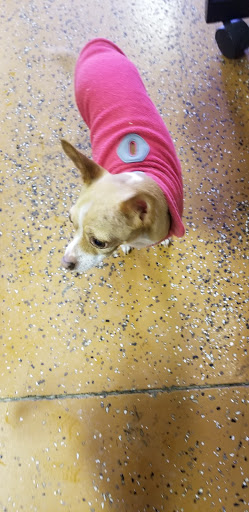 Tack Shop «J & T Country Feeds Inc», reviews and photos, 4835 W 10th St, Greeley, CO 80634, USA