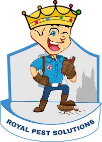 Royal Pest Solutions - San Diego Pest Control - Photo 7 - Car repair in , San Diego