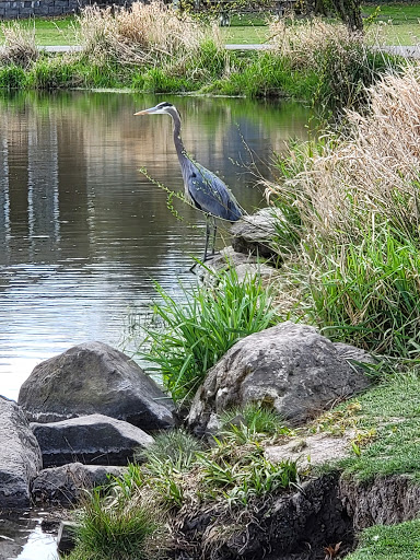 Park «Commonwealth Lake Park», reviews and photos, SW Butner Rd & SW Huntington Ave, Cedar Hills, OR 97225, USA