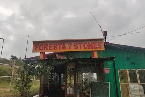 Foresta seven stones cafe and restaurant image