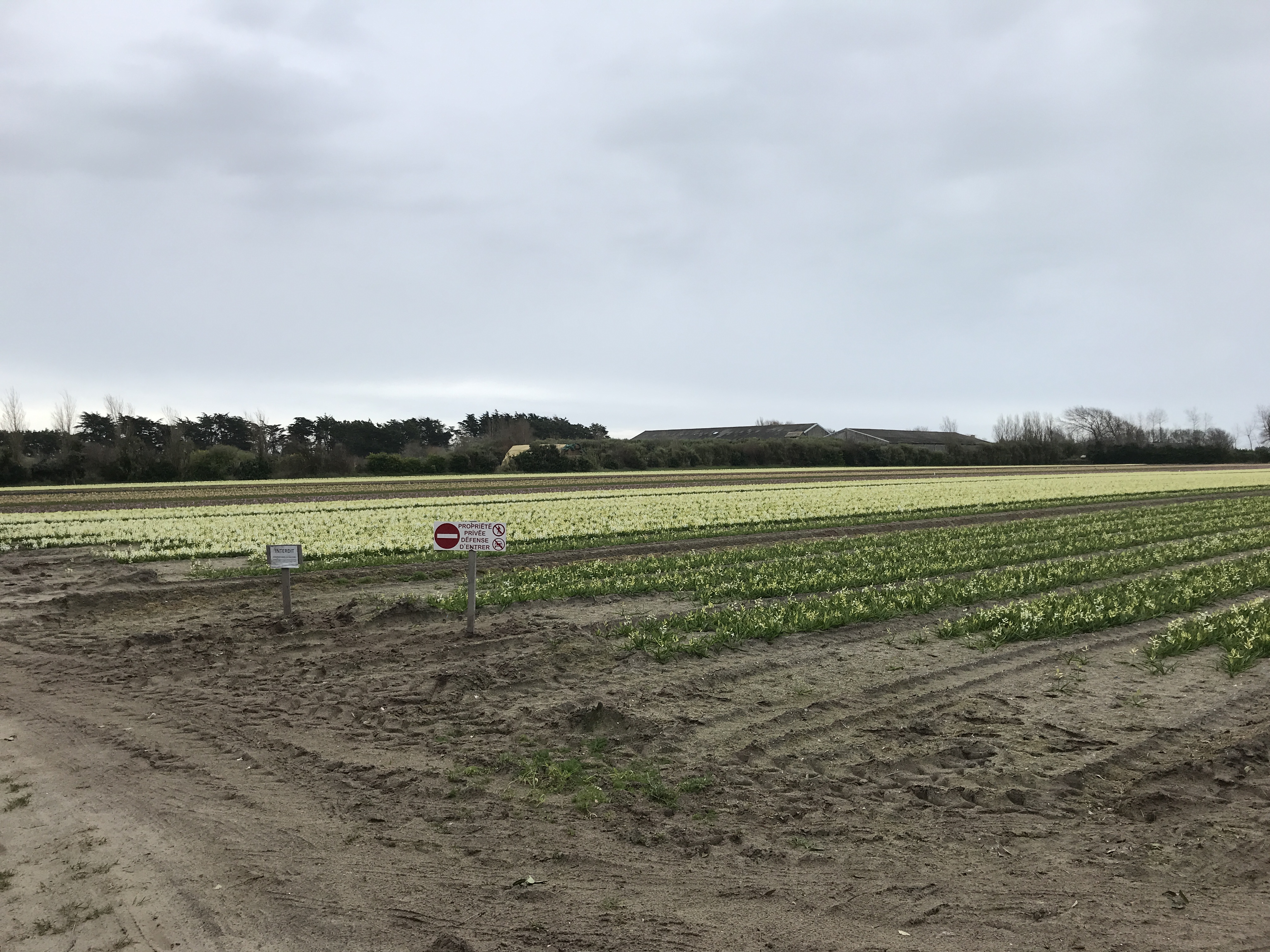 Photo n° 11 de l'avis de Jean-Marie.U fait le 11/03/2022 à 10:42