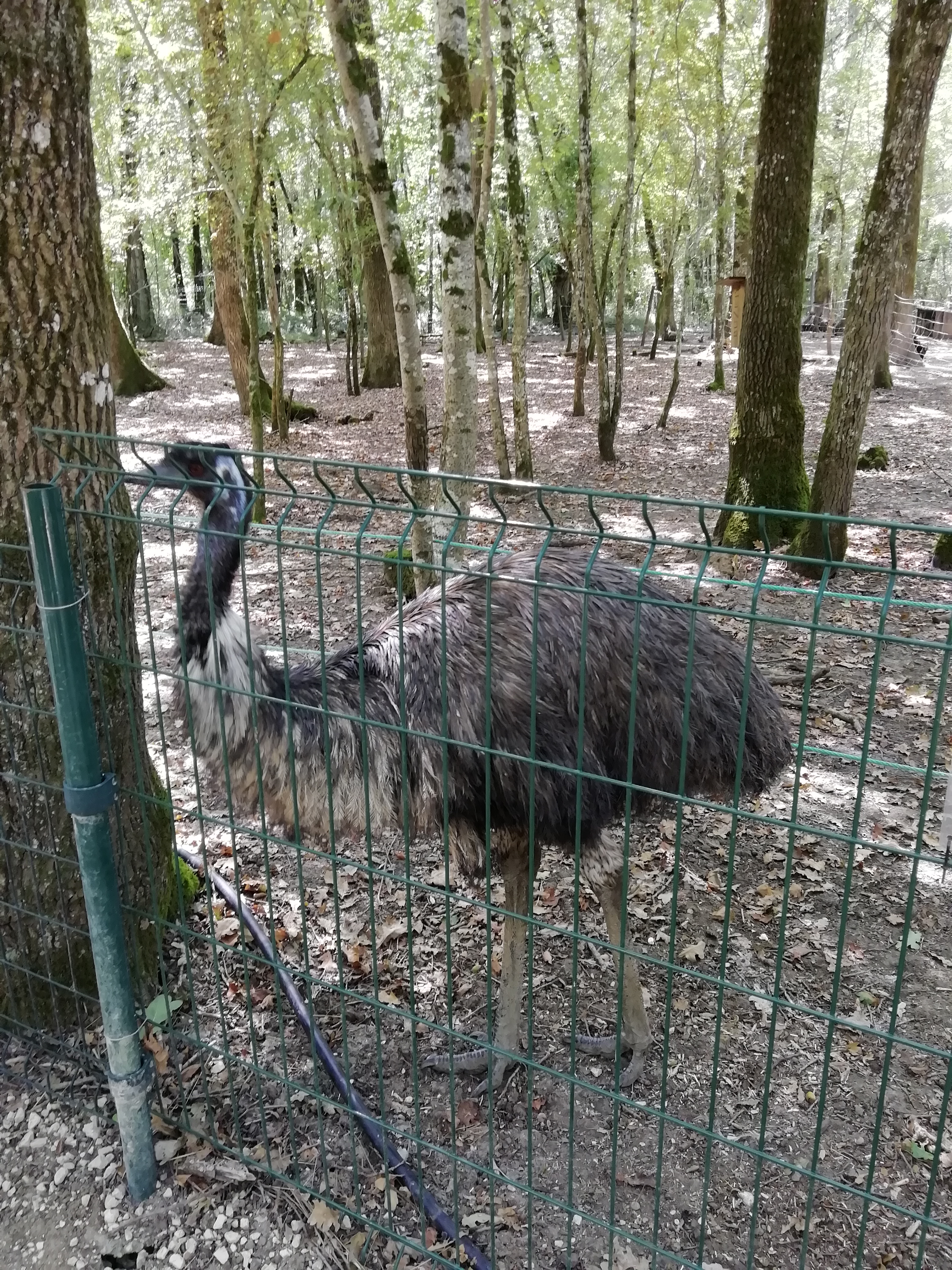 Photo n° 3 de l'avis de Franck.a fait le 23/06/2019 à 15:03