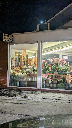 Kwiaciarnia "Nastroje Natury", Poczta Kwiatowa Bydgoszcz